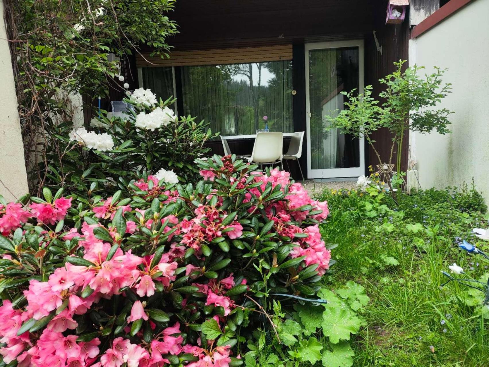 Ferienwohnung Schoene Wohnung 2D-Gebaeude Mit Mini-Garten Schönwalde Εξωτερικό φωτογραφία